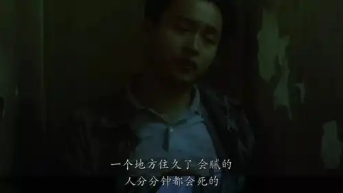 阿飞正传重映,免费观影来了
