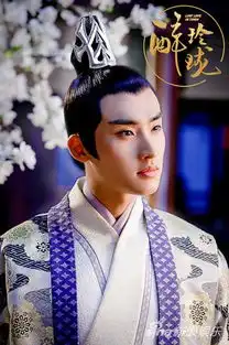 醉玲珑九皇子元溟谁演的张赫微微一笑很倾城里真水无香