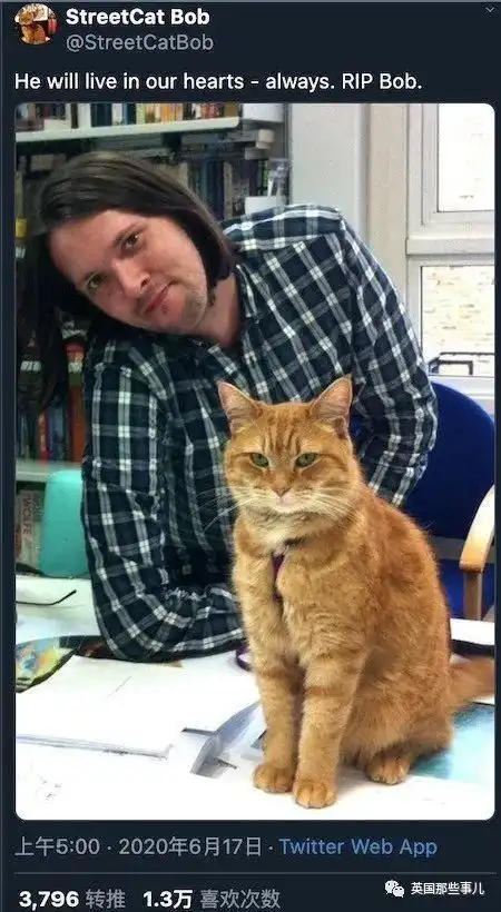 流浪猫鲍勃离世回喵星了它与铲屎官互相救赎的故事,曾感动全世界