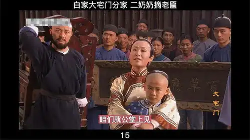 大宅门15白家大宅门分家二奶奶摘老匾