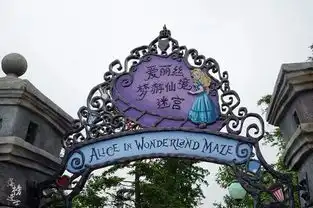 6月29日30日迪士尼小镇,星愿公园,上海迪士尼乐园,上海科技馆
