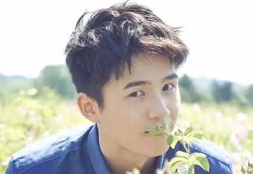 王俊凯个人资料王俊凯图片王俊凯的女朋友