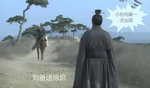 新三国剧照何存