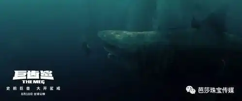 李冰冰七年前奥斯卡红毯上与它相恋,七年后重逢会否默契不减
