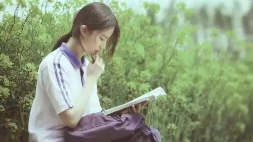 新神雕侠侣剧照遭群嘲,小龙女碰瓷刘亦菲网友请你醒醒
